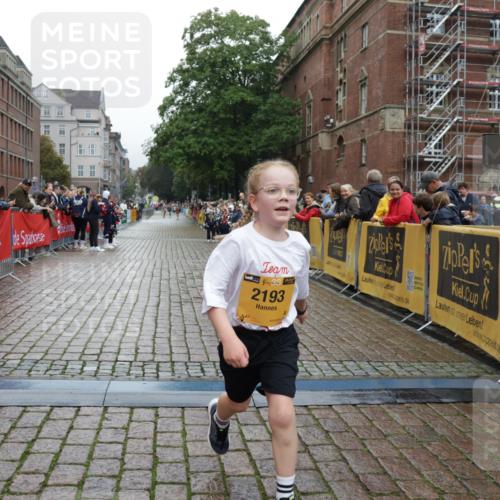 13.09.2026 - Kiel Lauf Yannick Fuchs http://msf.ph/oto/10408576 13.09.2026 09:03:47 Ziel 7990, 10123, 1268, 2372, 2528, 4445, 5854, 6191, 6644, 7020, 7564, 8613, 8616, 8789, 8924, 11931, 11932, 2193, 2372, 8013, 11932 meine-sportfotos.de