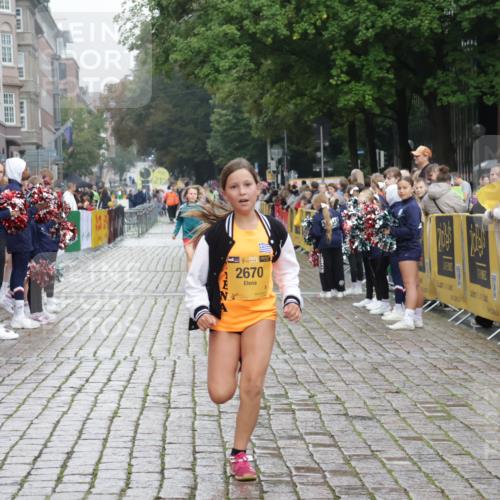 13.09.2026 - Kiel Lauf Yannick Fuchs http://msf.ph/oto/10408614 13.09.2026 09:04:06 Ziel 2193, 1268, 4445, 6191, 7990, 10123, 2670, 8088, 4445, 6191, 8613, 11931 meine-sportfotos.de