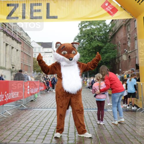 13.09.2026 - Kiel Lauf Yannick Fuchs http://msf.ph/oto/10408689 13.09.2026 09:04:53 Ziel 7068, 2670, 8088, 8583, 8088 meine-sportfotos.de