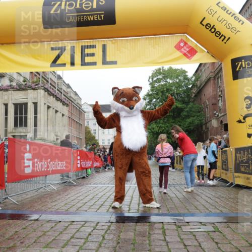 13.09.2026 - Kiel Lauf Yannick Fuchs http://msf.ph/oto/10408714 13.09.2026 09:04:55 Ziel 7068, 2670, 8088, 8583, 1968, 2670, 8088 meine-sportfotos.de