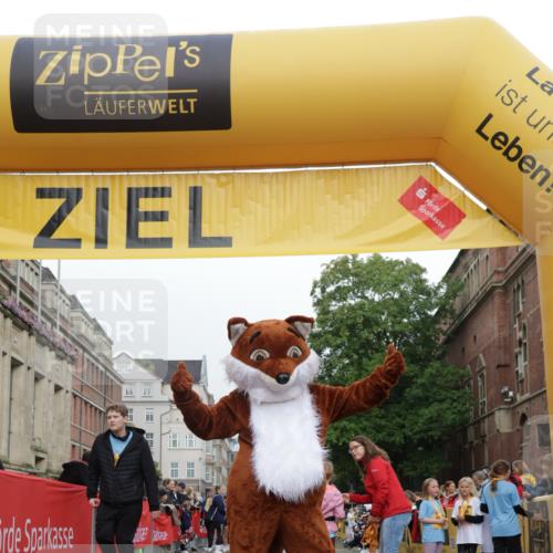 13.09.2026 - Kiel Lauf Yannick Fuchs http://msf.ph/oto/10408732 13.09.2026 09:04:59 Ziel 7068, 8583, 1968, 2670, 8088 meine-sportfotos.de
