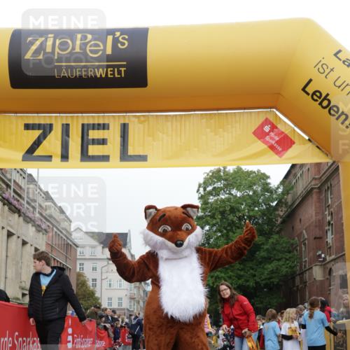 13.09.2026 - Kiel Lauf Yannick Fuchs http://msf.ph/oto/10408742 13.09.2026 09:05:00 Ziel 7068, 8583, 1968, 2670, 8088 meine-sportfotos.de