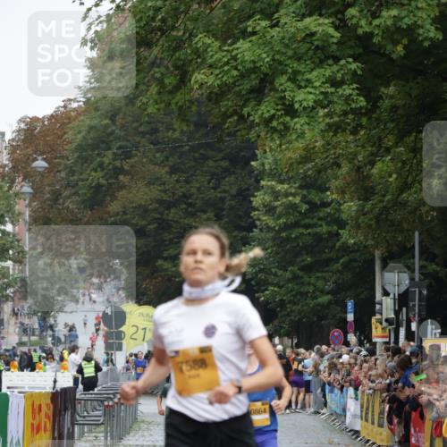 13.09.2026 - Kiel Lauf Yannick Fuchs http://msf.ph/oto/10410401 13.09.2026 09:33:54 Ziel 1246, 6681, 7588, 10069, 10864, 1246, 6682, 7305, 8092, 10404, 12831, 5040, 11791, 6682 meine-sportfotos.de