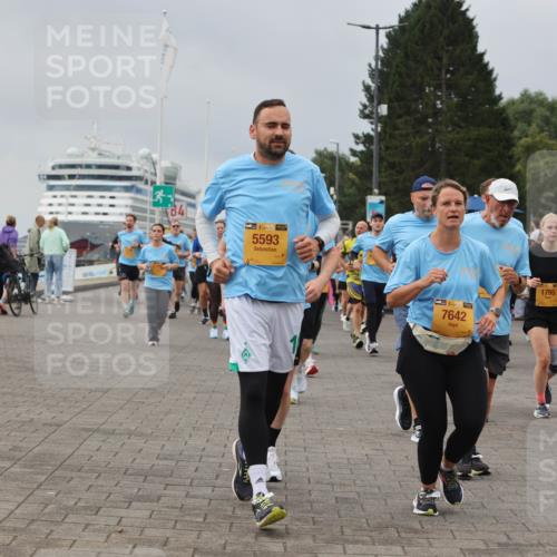 13.09.2026 - Kiel Lauf Andreas Tolksdorf http://msf.ph/oto/10412842 13.09.2026 10:03:22 Kiellinie 84, 38, 5593, 7642, 1795, 8793 meine-sportfotos.de