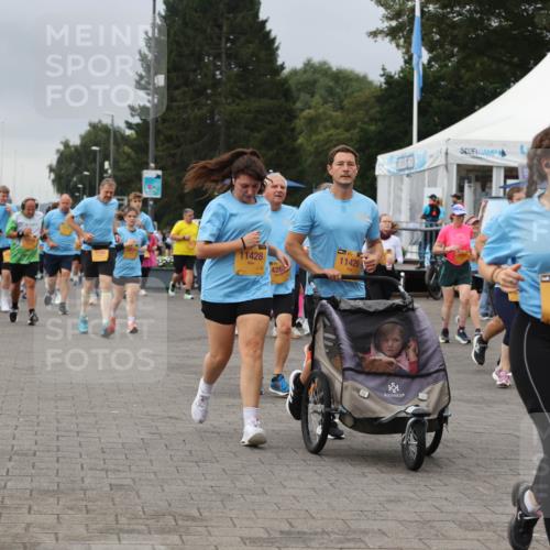 13.09.2026 - Kiel Lauf Andreas Tolksdorf http://msf.ph/oto/10414676 13.09.2026 10:05:40 Kiellinie 13, 11428, 0426, 11429, 11, 39, 8517 meine-sportfotos.de