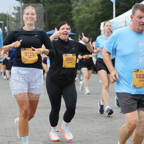 13.09.2026 - Kiel Lauf Andreas Tolksdorf http://msf.ph/oto/10415060 13.09.2026 10:06:09 Kiellinie 98, 9125, 5561, 4, 38, 10380 meine-sportfotos.de