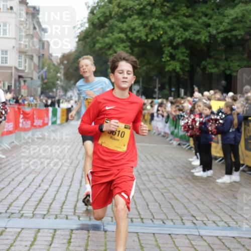 13.09.2026 - Kiel Lauf Yannick Fuchs http://msf.ph/oto/10415109 13.09.2026 09:35:52 Ziel 7782, 9610, 4589, 4638, 12832, 3056, 5662, 2761, 11904, 12484, 12832 meine-sportfotos.de