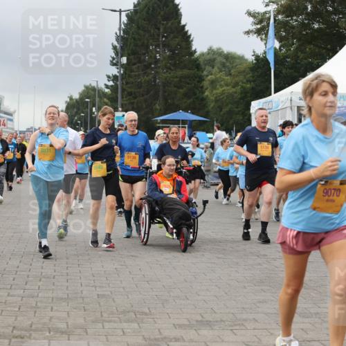 13.09.2026 - Kiel Lauf Andreas Tolksdorf http://msf.ph/oto/10415530 13.09.2026 10:06:30 Kiellinie 13, 4, 8831, 5542, 5138, 7625, 5139, 9070 meine-sportfotos.de
