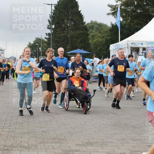 13.09.2026 - Kiel Lauf Andreas Tolksdorf http://msf.ph/oto/10415544 13.09.2026 10:06:31 Kiellinie 84, 8831, 5542, 5138, 7625, 5139, 9070 meine-sportfotos.de