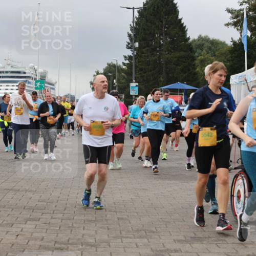 13.09.2026 - Kiel Lauf Andreas Tolksdorf http://msf.ph/oto/10415599 13.09.2026 10:06:32 Kiellinie 6690, 11361, 5542, 8831 meine-sportfotos.de