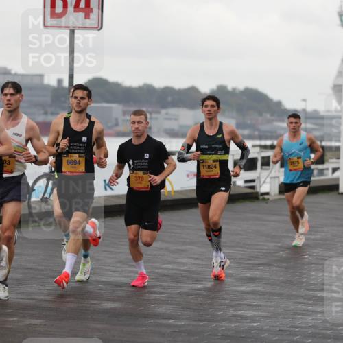 13.09.2026 - Kiel Lauf Andreas Tolksdorf http://msf.ph/oto/10416973 13.09.2026 10:55:49 Kiellinie 4, 879, 03, 6694, 379, 11804, 2875 meine-sportfotos.de