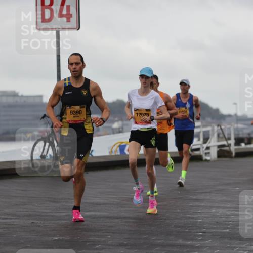 13.09.2026 - Kiel Lauf Andreas Tolksdorf http://msf.ph/oto/10417278 13.09.2026 10:56:22 Kiellinie 4, 38, 9390, 39, 11534, 12078 meine-sportfotos.de