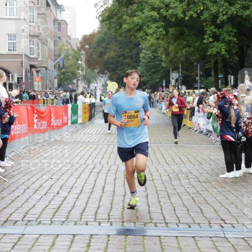 13.09.2026 - Kiel Lauf Yannick Fuchs http://msf.ph/oto/10417524 13.09.2026 09:38:49 Ziel 3814, 4314, 7747, 8313, 8482, 9759, 9838, 10415, 10894, 1806, 1946, 2480, 2903, 3315, 3344, 4043, 4518, 4975, 6277, 6989, 9825, 11351, 20, 682, 1702, 1927, 8943, 152, 1487, 5242, 6277 meine-sportfotos.de