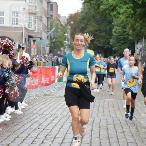 13.09.2026 - Kiel Lauf Yannick Fuchs http://msf.ph/oto/10419003 13.09.2026 09:40:31 Ziel 1081, 2284, 2695, 2847, 3694, 7239, 11750, 1120, 2284, 2546, 3416, 3724, 4987, 5081, 5946, 6209, 9734, 10413, 10418, 10825, 10971, 11410, 12715, 420, 1630, 3552, 6563, 7131, 7730, 9578, 10353, 11792, 12225, 2123, 6209, 8620, 10031, 11034 meine-sportfotos.de