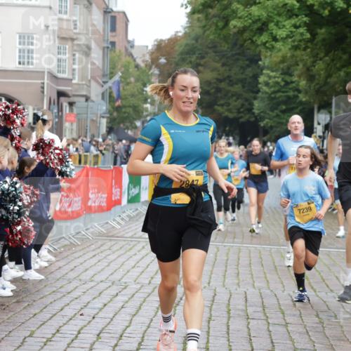 13.09.2026 - Kiel Lauf Yannick Fuchs http://msf.ph/oto/10419006 13.09.2026 09:40:31 Ziel 1081, 2284, 2695, 2847, 3694, 7239, 11750, 1120, 2284, 2546, 3416, 3724, 4987, 5081, 5946, 6209, 9734, 10413, 10418, 10825, 10971, 11410, 12715, 420, 1630, 3552, 6563, 7131, 7730, 9578, 10353, 11792, 12225, 2123, 6209, 8620, 10031, 11034 meine-sportfotos.de