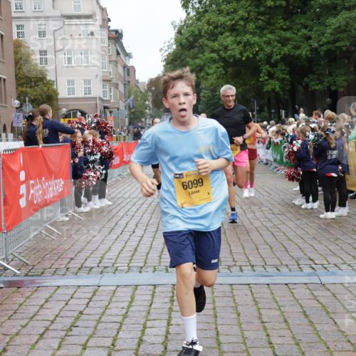 13.09.2026 - Kiel Lauf Yannick Fuchs http://msf.ph/oto/10420583 13.09.2026 09:42:28 Ziel 133, 445, 771, 1045, 1777, 2608, 2914, 2955, 2977, 4548, 5559, 6075, 6099, 6213, 6542, 6797, 6913, 10938, 12190, 133, 570, 699, 772, 792, 2910, 3357, 3676, 3801, 5011, 5105, 5276, 5336, 5774, 6599, 6620, 6797, 7687, 8476, 8829, 9050, 11793, 12723, 142, 762, 3827, 4322, 6423, 8532, 9519, 9592, 9706, 11721, 3143, 4533, 5107, 6739, 7238, 8829, 9050, 12175 meine-sportfotos.de