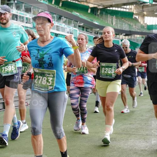 13.09.2026 - 21. swb-Marathon Bremen Michael Burmester http://msf.ph/oto/10421571 13.09.2026 13:22:19 Laufen im Stadion 128, 160, 211, 258, 343, 351, 423, 441, 571, 601, 609, 620, 782, 851, 892, 1060, 1094, 1157, 1158, 1177, 1178, 1259, 1316, 1344, 1417, 1518, 1657, 1669, 1676, 1691, 1729, 1746, 1788, 1808, 1883, 2201, 2213, 2258, 2290, 2414, 2433, 2475, 2504, 2526, 2551, 2619, 2632, 2652, 2660, 2685, 2711, 2736, 2828, 2954, 2964, 2995, 3010, 3022, 3034, 3070, 3074, 3144, 3225, 3252, 3347, 3351, 3505, 3530, 3682, 3784, 4020, 4054, 4231, 4406, 4407, 4431, 4584, 1506 meine-sportfotos.de