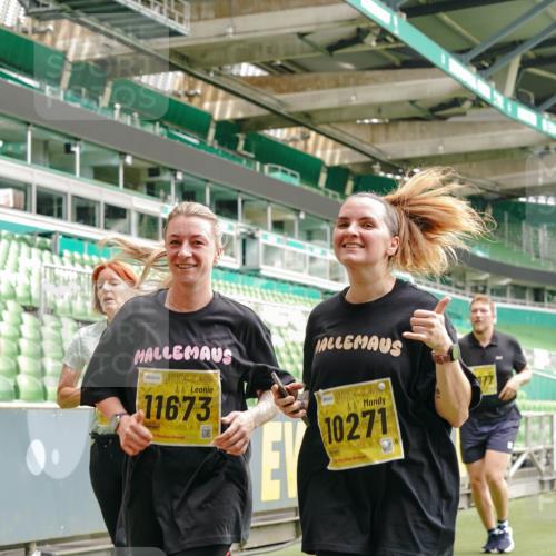 13.09.2026 - 21. swb-Marathon Bremen Michael Burmester http://msf.ph/oto/10421690 13.09.2026 10:45:11 Laufen im Stadion 10137, 10176, 10191, 10192, 10194, 10202, 10242, 10295, 10325, 10344, 10430, 10459, 10472, 10513, 10524, 10568, 10600, 10629, 10651, 10679, 10713, 10756, 10779, 10882, 10979, 10997, 10999, 11081, 11200, 11233, 11307, 11309, 11355, 11367, 11385, 11408, 11495, 11629, 11709, 11808, 11821, 11932, 11943, 12057, 12089, 12151, 12153, 12177, 12178, 12224, 12226, 12311, 12321, 12334, 12539, 10148, 10330 meine-sportfotos.de