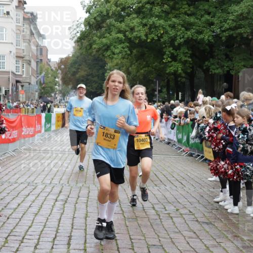 13.09.2026 - Kiel Lauf Yannick Fuchs http://msf.ph/oto/10422735 13.09.2026 09:43:39 Ziel 40, 1049, 1833, 1857, 4171, 5964, 7773, 7905, 8770, 8834, 9323, 9934, 10300, 10460, 11246, 12101, 12164, 12575, 255, 401, 623, 1508, 3041, 4256, 5929, 6377, 7099, 7532, 7857, 8066, 8808, 9354, 9933, 10047, 10118, 10189, 10300, 12259, 12575, 654, 4522, 5026, 5171, 5857, 7510, 7948, 9814, 10641, 10931, 12376, 1040, 3850, 5530, 8191, 9354, 11753, 12259 meine-sportfotos.de