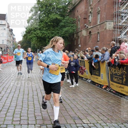13.09.2026 - Kiel Lauf Yannick Fuchs http://msf.ph/oto/10422751 13.09.2026 09:43:40 Ziel 40, 1049, 1833, 1857, 4171, 5964, 7773, 7905, 8770, 8834, 9323, 9934, 10460, 11246, 12101, 12164, 255, 401, 623, 1508, 3041, 4256, 5929, 6377, 7099, 7532, 7857, 8066, 8808, 9354, 9933, 10047, 10118, 10189, 10300, 12259, 12575, 654, 4522, 5026, 5171, 5857, 7510, 7948, 9814, 10641, 10931, 12376, 1040, 3041, 3850, 5530, 9354, 11753, 12259 meine-sportfotos.de