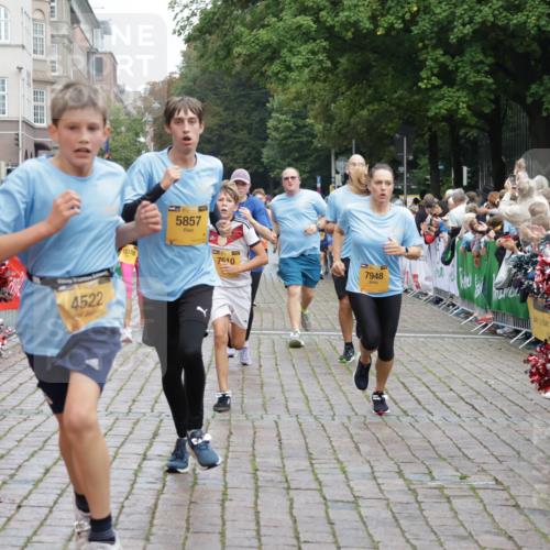 13.09.2026 - Kiel Lauf Yannick Fuchs http://msf.ph/oto/10422826 13.09.2026 09:43:51 Ziel 654, 4522, 5171, 5857, 5964, 7510, 7948, 9814, 10641, 10931, 12376, 40, 255, 401, 623, 1049, 1833, 1857, 4171, 4256, 6377, 7099, 7773, 7857, 7905, 8066, 8770, 8834, 9323, 9934, 10189, 10300, 10460, 11246, 12101, 12164, 12575, 4092, 4283, 5026, 6550, 7753, 8300, 11653, 11655, 12098, 12373, 255, 623, 1508, 5929, 7099, 7532, 8808, 9933, 10047, 10118 meine-sportfotos.de