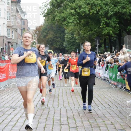 13.09.2026 - Kiel Lauf Yannick Fuchs http://msf.ph/oto/10423097 13.09.2026 09:44:16 Ziel 537, 793, 1053, 2031, 2437, 3688, 4092, 4573, 7753, 12318, 12373, 12437, 654, 4283, 4522, 5026, 5171, 5857, 5964, 6550, 7510, 7948, 8300, 9814, 10641, 10931, 11653, 11655, 12098, 12376, 801, 958, 1849, 1866, 2045, 2212, 2787, 2868, 3198, 3209, 4098, 4316, 6892, 6895, 7121, 7430, 7744, 12161, 1833, 5964, 9323, 9934, 10460, 12164 meine-sportfotos.de