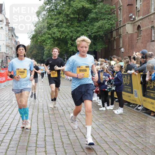 13.09.2026 - Kiel Lauf Yannick Fuchs http://msf.ph/oto/10423470 13.09.2026 09:44:46 Ziel 912, 1224, 4693, 7356, 7460, 9986, 10777, 11046, 11239, 12218, 537, 793, 801, 958, 1053, 1849, 1866, 2031, 2045, 2212, 2437, 2787, 2868, 3198, 3209, 3688, 4092, 4098, 4316, 4573, 6892, 6895, 7121, 7430, 7744, 7753, 12161, 12318, 12437, 98, 312, 2456, 2704, 3138, 3517, 3717, 4118, 5562, 5939, 6023, 6135, 8028, 8189, 11043, 12676, 793, 4092, 7753, 8300, 12098, 12373 meine-sportfotos.de