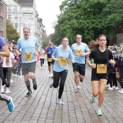 13.09.2026 - Kiel Lauf Yannick Fuchs http://msf.ph/oto/10424281 13.09.2026 09:45:46 Ziel 557, 2788, 3025, 3974, 4413, 4569, 5511, 5757, 7202, 7349, 7572, 8126, 9841, 10036, 10142, 10392, 10445, 1023, 1503, 1579, 2017, 2282, 2835, 3408, 3479, 3503, 3507, 4606, 5103, 5369, 5399, 5400, 5672, 5811, 6038, 6097, 6098, 6556, 7854, 8126, 8152, 8854, 9425, 9456, 9897, 10498, 11939, 12069, 12281, 12347, 12348, 12351, 1415, 1418, 2127, 2482, 3142, 3301, 4909, 4910, 4918, 5234, 5829, 7911, 7924, 8244, 8611, 8859, 10203, 10719, 12374, 12841, 312, 2786, 3479 meine-sportfotos.de