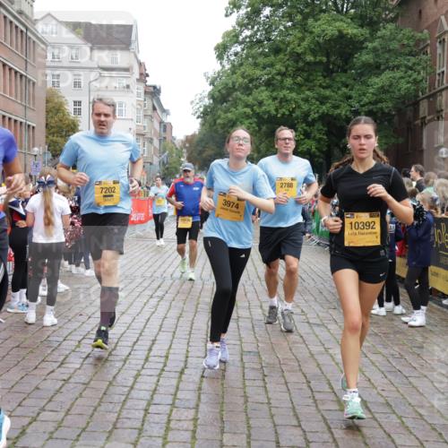 13.09.2026 - Kiel Lauf Yannick Fuchs http://msf.ph/oto/10424286 13.09.2026 09:45:46 Ziel 557, 2788, 3025, 3974, 4413, 4569, 5511, 5757, 7202, 7349, 7572, 8126, 9841, 10036, 10142, 10392, 10445, 1023, 1503, 1579, 2017, 2282, 2835, 3408, 3479, 3503, 3507, 4606, 5103, 5369, 5399, 5400, 5672, 5811, 6038, 6097, 6098, 6556, 7854, 8126, 8152, 8854, 9425, 9456, 9897, 10498, 11939, 12069, 12281, 12347, 12348, 12351, 1415, 1418, 2127, 2482, 3142, 3301, 4909, 4910, 4918, 5234, 5829, 7911, 7924, 8244, 8611, 8859, 10203, 10719, 12374, 12841, 312, 2786, 3479 meine-sportfotos.de