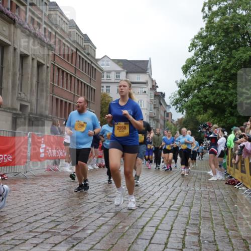 13.09.2026 - Kiel Lauf Yannick Fuchs http://msf.ph/oto/10424727 13.09.2026 11:00:50 Ziel 190, 1795, 2038, 2697, 3423, 3425, 4055, 4769, 4915, 5648, 5794, 6399, 6426, 6995, 6996, 7516, 7610, 8229, 8590, 8622, 9199, 9594, 10339, 10480, 10529, 10700, 11972, 12192, 12326, 362, 893, 1036, 1518, 1650, 1722, 1795, 1896, 1897, 2150, 2151, 2187, 2233, 2267, 2558, 2915, 3793, 4239, 4261, 4524, 4706, 4787, 4855, 4905, 5912, 6431, 6770, 7091, 7179, 7214, 7997, 8481, 8565, 8590, 8686, 9327, 9408, 10346, 10590, 10674, 11182, 11471, 11797, 11835, 12214, 12457, 12756, 48 meine-sportfotos.de