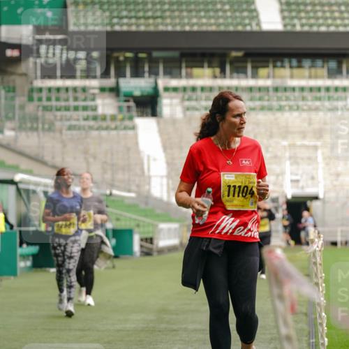13.09.2026 - 21. swb-Marathon Bremen Michael Burmester http://msf.ph/oto/10425648 13.09.2026 10:48:19 Laufen im Stadion 10264, 10292, 10349, 10407, 10440, 10732, 10754, 10789, 10925, 10933, 11104, 11262, 11423, 11443, 11541, 11639, 11663, 11698, 11980, 12083, 12157, 12340, 12444, 12471, 12472, 12542, 12561, 10137, 10176, 10191, 10192, 10194, 10202, 10242, 10295, 10325, 10335, 10344, 10430, 10459, 10513, 10524, 10568, 10600, 10629, 10651, 10679, 10713, 10756, 10779, 10882, 10979, 10997, 10999, 11081, 11200, 11233, 11307, 11355, 12089, 12153, 12177, 12178 meine-sportfotos.de