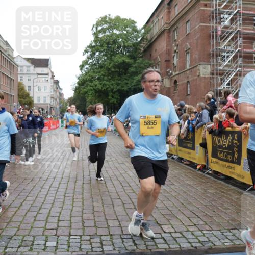 13.09.2026 - Kiel Lauf Yannick Fuchs http://msf.ph/oto/10425721 13.09.2026 09:46:17 Ziel 181, 442, 3052, 3954, 5855, 5955, 6732, 6857, 7015, 7308, 8125, 10117, 10685, 10898, 10913, 11076, 11078, 11316, 12495, 12621, 557, 1415, 1418, 2127, 2482, 2788, 3142, 3301, 3974, 4413, 4569, 4909, 4910, 4918, 5234, 5511, 5757, 5829, 6732, 7202, 7572, 7911, 7924, 8244, 8611, 8859, 9841, 10036, 10142, 10203, 10392, 10685, 10719, 10898, 12374, 12841, 167, 288, 3033, 3035, 3361, 6355, 6577, 7439, 8929, 9832, 10177, 10946, 11859, 11861, 12173, 12552, 2788, 3025, 3974, 8126 meine-sportfotos.de