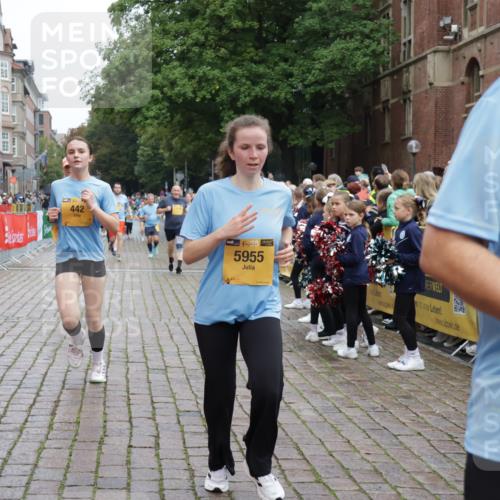 13.09.2026 - Kiel Lauf Yannick Fuchs http://msf.ph/oto/10425724 13.09.2026 09:46:17 Ziel 181, 442, 3052, 3954, 5855, 5955, 6732, 6857, 7015, 7308, 8125, 10117, 10685, 10898, 10913, 11076, 11078, 11316, 12495, 12621, 557, 1415, 1418, 2127, 2482, 2788, 3142, 3301, 3974, 4413, 4569, 4909, 4910, 4918, 5234, 5511, 5757, 5829, 6732, 7202, 7572, 7911, 7924, 8244, 8611, 8859, 9841, 10036, 10142, 10203, 10392, 10685, 10719, 10898, 12374, 12841, 167, 288, 3033, 3035, 3361, 6355, 6577, 7439, 8929, 9832, 10177, 10946, 11859, 11861, 12173, 12552, 2788, 3025, 3974, 8126 meine-sportfotos.de
