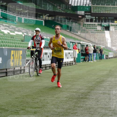 13.09.2026 - 21. swb-Marathon Bremen Michael Burmester http://msf.ph/oto/10426064 13.09.2026 10:14:41 Laufen im Stadion 13525 meine-sportfotos.de