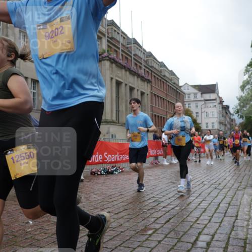 13.09.2026 - Kiel Lauf Yannick Fuchs http://msf.ph/oto/10426107 13.09.2026 11:03:42 Ziel 643, 1505, 1698, 2807, 3049, 3155, 5377, 5588, 5820, 6524, 6525, 9331, 9363, 9581, 9955, 12650, 697, 986, 1923, 2254, 2724, 2846, 2878, 2975, 3155, 3621, 3744, 4074, 4658, 4757, 4854, 5893, 6224, 6319, 6341, 6669, 6953, 7282, 7656, 8130, 8136, 8204, 8288, 8782, 8946, 9059, 9063, 9202, 9363, 9614, 9819, 10806, 12550, 12650, 1089, 1699, 1902, 1906, 2262, 2930, 3120, 7205, 7413, 7764, 8107, 9180, 10567, 10856, 11172, 11381, 11930, 12465, 986, 1635, 3621, 3635, 5998, 8782 meine-sportfotos.de