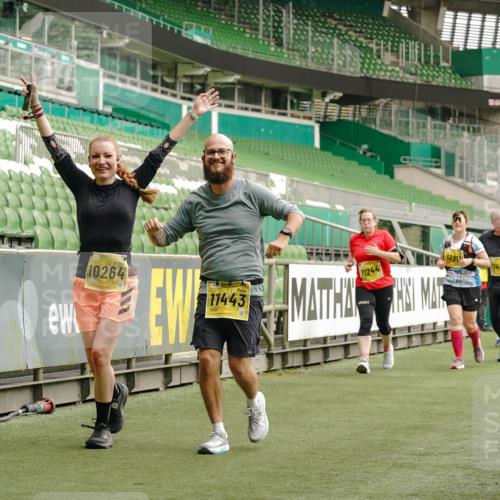 13.09.2026 - 21. swb-Marathon Bremen Michael Burmester http://msf.ph/oto/10426372 13.09.2026 10:49:40 Laufen im Stadion 10407, 10413, 10440, 10627, 10667, 10710, 10754, 10789, 11031, 11254, 11266, 11541, 11712, 11780, 11851, 11942, 11980, 12440, 12471, 12542, 12561, 10137, 10161, 10194, 10202, 10242, 10344, 10430, 10472, 10524, 10535, 10568, 10600, 10651, 10895, 10933, 10970, 10979, 11050, 11181, 11200, 11244, 11296, 11309, 11367, 11457, 11529, 11530, 11546, 11573, 11574, 11579, 11639, 11675, 11709, 11760, 11821, 12089, 12153, 12177, 12178 meine-sportfotos.de