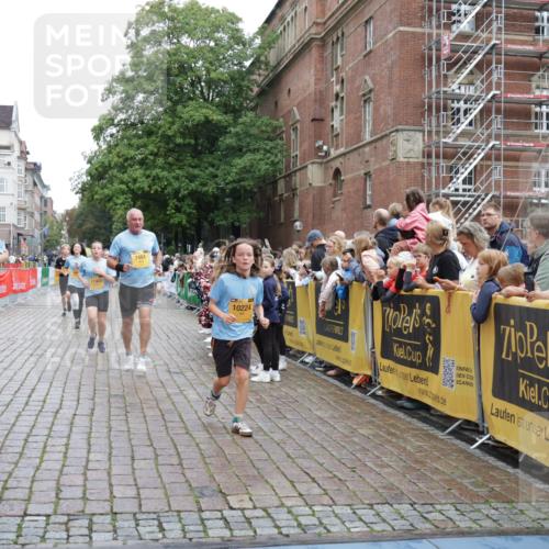 13.09.2026 - Kiel Lauf Yannick Fuchs http://msf.ph/oto/10426573 13.09.2026 09:47:10 Ziel 1235, 2587, 5167, 5217, 5351, 7461, 8524, 9091, 10009, 10076, 10224, 10742, 10744, 11862, 11964, 12635, 288, 1402, 2527, 2718, 2759, 2779, 3033, 3035, 3808, 4087, 4238, 4906, 4940, 5217, 5351, 6048, 6074, 6207, 6638, 7190, 7213, 7446, 7675, 7731, 7754, 7921, 8409, 8887, 8929, 8994, 9141, 9385, 10301, 10322, 10731, 12552, 12622, 12725, 544, 1324, 2870, 3192, 3629, 6072, 6575, 6639, 8231, 8540, 8777, 9634, 9936, 10555, 288, 3033, 3035, 6355, 6577, 7439, 9832, 10177 meine-sportfotos.de