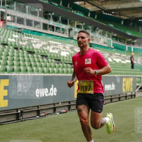 13.09.2026 - 21. swb-Marathon Bremen Michael Burmester http://msf.ph/oto/10428038 13.09.2026 10:19:25 Laufen im Stadion 10366, 10475, 11197, 11418, 11481, 11652, 12358, 12413, 12457, 13530, 13533, 13534, 13536, 13541, 13543, 13550, 13554, 13560, 13564, 13571, 13572, 13573, 13581, 13582, 13599, 13601, 13602, 13610, 13618, 13622, 13632, 13638, 13639, 13643, 10597, 12272, 13501, 13515, 13525, 13547, 13567, 13627, 13635 meine-sportfotos.de
