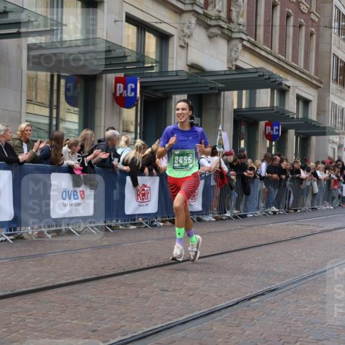 13.09.2026 - 21. swb-Marathon Bremen Strokosch-Dieckow http://msf.ph/oto/10428239 13.09.2026 13:08:10 Ziel 339, 678, 715, 1335, 1696, 3808, 4082, 4247, 4888, 5424, 5594, 7064, 8655, 9084, 9582, 2098, 2266, 2844, 3808, 4732, 5594, 6692, 13091, 13160 meine-sportfotos.de