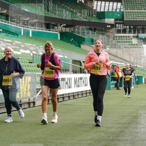 13.09.2026 - 21. swb-Marathon Bremen Michael Burmester http://msf.ph/oto/10428547 13.09.2026 10:54:40 Laufen im Stadion 12163, 10387, 10533, 10534, 10573, 10627, 10650, 10667, 10968, 11025, 11031, 11161, 11195, 11266, 11352, 11496, 11780, 11807, 12377, 12408, 12535, 12546 meine-sportfotos.de