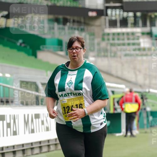 13.09.2026 - 21. swb-Marathon Bremen Michael Burmester http://msf.ph/oto/10428960 13.09.2026 10:56:15 Laufen im Stadion 10317, 10387, 10967, 11017, 11025, 11161, 11341, 11444, 11538, 12416, 12546 meine-sportfotos.de