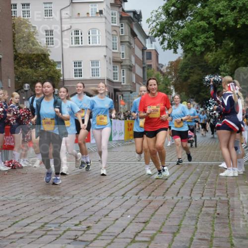 13.09.2026 - Kiel Lauf Yannick Fuchs http://msf.ph/oto/10429306 13.09.2026 11:10:15 Ziel 585, 1937, 2630, 3086, 3227, 5371, 9102, 9168, 9254, 10154, 12008, 12016, 12178, 12698, 508, 1074, 2337, 2992, 4063, 5843, 5867, 6908, 7683, 7826, 9168, 9665, 9967, 10154, 10352, 10423, 11013, 11208, 11428, 11429, 11884, 678, 2134, 3245, 6476, 9206, 9406, 10704, 11060, 11576, 2992, 5528, 7111, 10423 meine-sportfotos.de