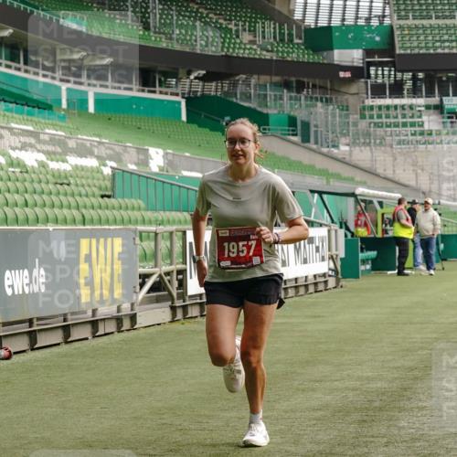 13.09.2026 - 21. swb-Marathon Bremen Michael Burmester http://msf.ph/oto/10430341 13.09.2026 12:20:43 Laufen im Stadion 634, 642, 1957, 513, 917, 1154, 1190, 1192, 1263 meine-sportfotos.de
