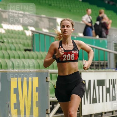 13.09.2026 - 21. swb-Marathon Bremen Michael Burmester http://msf.ph/oto/10431078 13.09.2026 12:26:12 Laufen im Stadion 206, 238, 322, 447, 814, 841, 875, 968, 1187, 1313, 1840, 2044, 2143, 129, 236, 1567 meine-sportfotos.de