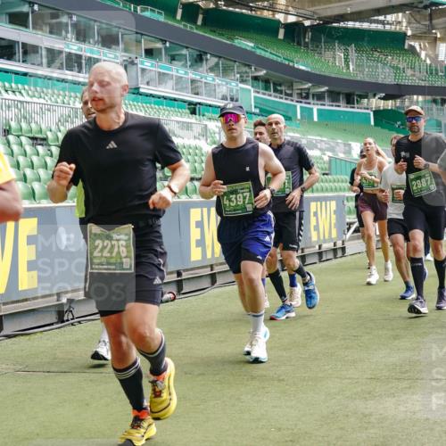 13.09.2026 - 21. swb-Marathon Bremen Michael Burmester http://msf.ph/oto/10431933 13.09.2026 13:04:27 Laufen im Stadion 178, 209, 210, 488, 534, 536, 565, 596, 725, 762, 881, 940, 1014, 1239, 1307, 1343, 1373, 1456, 1458, 1479, 1627, 1649, 1653, 1656, 1687, 1771, 1780, 1914, 1932, 1941, 2023, 2089, 2126, 2223, 2369, 2430, 2434, 2452, 2513, 2602, 2625, 2723, 2742, 2764, 2851, 2867, 2872, 2891, 2910, 2919, 2934, 2957, 2959, 2977, 2985, 3028, 3135, 3217, 3320, 3343, 3360, 3402, 3419, 3425, 3454, 3460, 3510, 3521, 3579, 3597, 3618, 3796, 3846, 3859, 3909, 4077, 242 meine-sportfotos.de