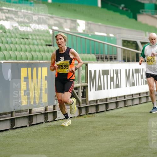 13.09.2026 - 21. swb-Marathon Bremen Michael Burmester http://msf.ph/oto/10432664 13.09.2026 10:23:59 Laufen im Stadion 10235, 10328, 10337, 10341, 10441, 10520, 10575, 10592, 10618, 10632, 10782, 10972, 11042, 11127, 11143, 11198, 11201, 11227, 11373, 11426, 11442, 11527, 11628, 11630, 11632, 11713, 11721, 11779, 11826, 11895, 11903, 12053, 12144, 12209, 12246, 12281, 12339, 12370, 12395, 12404, 12406, 12442, 12468, 12469, 12477, 12525, 13513, 13519, 13520, 13556, 13563, 13566, 13580, 13584, 13585, 13586, 13616, 13641, 13642, 10366, 13530 meine-sportfotos.de