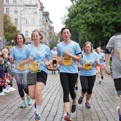 13.09.2026 - Kiel Lauf Yannick Fuchs http://msf.ph/oto/10434040 13.09.2026 09:47:50 Ziel 218, 390, 1743, 2241, 2755, 3735, 3812, 4103, 4225, 4365, 4400, 4460, 4952, 5215, 6078, 6942, 8096, 9697, 10823, 11396, 11654, 12007, 12099, 12167, 12393, 466, 544, 591, 1324, 2870, 3192, 3373, 3629, 4011, 4479, 4480, 5517, 6072, 6575, 6639, 6696, 7767, 8231, 8503, 8540, 8777, 8833, 9528, 9634, 9936, 10555, 10789, 122, 366, 872, 1227, 1713, 4288, 4467, 4710, 6242, 6809, 7070, 7258, 7481, 8080, 9694, 1235, 2587, 5167, 7461, 8524, 9091, 10076, 10555 meine-sportfotos.de