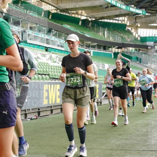 13.09.2026 - 21. swb-Marathon Bremen Michael Burmester http://msf.ph/oto/10434120 13.09.2026 13:33:00 Laufen im Stadion 155, 344, 350, 386, 428, 490, 594, 617, 690, 765, 786, 787, 1001, 1051, 1098, 1133, 1142, 1292, 1310, 1326, 1377, 1427, 1557, 1591, 1592, 1760, 1801, 1869, 1892, 1897, 1923, 2077, 2132, 2226, 2230, 2231, 2253, 2270, 2274, 2320, 2344, 2374, 2399, 2400, 2456, 2514, 2515, 2523, 2539, 2556, 2616, 2630, 2649, 2718, 2769, 2787, 2848, 2945, 2982, 3014, 3140, 3223, 3350, 3379, 3443, 3503, 3572, 3577, 3601, 3614, 3644, 3736, 3746, 3797, 3901, 3911, 3944, 3952, 3960 meine-sportfotos.de