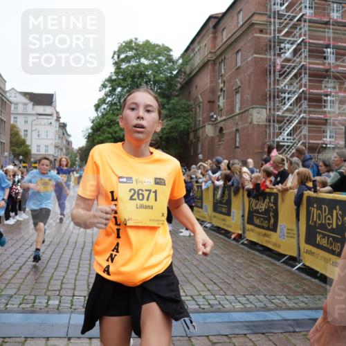 13.09.2026 - Kiel Lauf Yannick Fuchs http://msf.ph/oto/10434763 13.09.2026 09:48:21 Ziel 1047, 1493, 1976, 2656, 2671, 2970, 4219, 4350, 5185, 5518, 5825, 6464, 7247, 9755, 10200, 11954, 122, 218, 366, 872, 1227, 1713, 1743, 2241, 2755, 3735, 3812, 4103, 4219, 4225, 4288, 4365, 4460, 4467, 4710, 5215, 6078, 6242, 6809, 6942, 7070, 7258, 7481, 8080, 8096, 9694, 9755, 10823, 11396, 11654, 12007, 12099, 12167, 12393, 467, 1731, 2676, 2943, 3843, 6239, 7071, 7432, 8455, 10729, 11694, 390, 3735, 4103, 4365, 4400, 4460, 4952, 6078, 8096, 9697 meine-sportfotos.de