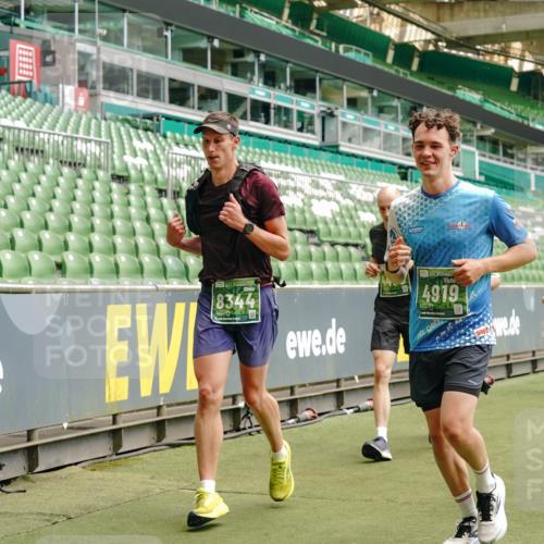 13.09.2026 - 21. swb-Marathon Bremen Michael Burmester http://msf.ph/oto/10435336 13.09.2026 13:05:25 Laufen im Stadion 178, 209, 217, 244, 323, 394, 430, 454, 534, 536, 565, 647, 784, 891, 900, 1073, 1239, 1243, 1274, 1307, 1308, 1373, 1380, 1456, 1533, 1581, 1627, 1653, 1656, 1687, 1780, 1914, 1932, 1941, 2023, 2076, 2089, 2126, 2241, 2244, 2265, 2301, 2310, 2355, 2369, 2393, 2430, 2452, 2464, 2602, 2723, 2742, 2764, 2867, 2872, 2891, 2910, 2919, 2957, 2959, 2985, 3028, 3030, 3115, 3217, 3278, 3320, 3343, 3419, 3425, 3444, 3485, 3521, 3796, 3909, 242 meine-sportfotos.de
